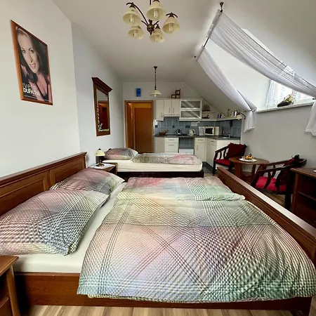 U Kapličky Penzion 3*