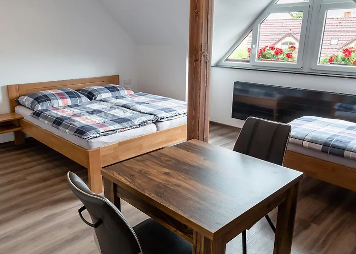 Gasthuis U Kaplicky 3*