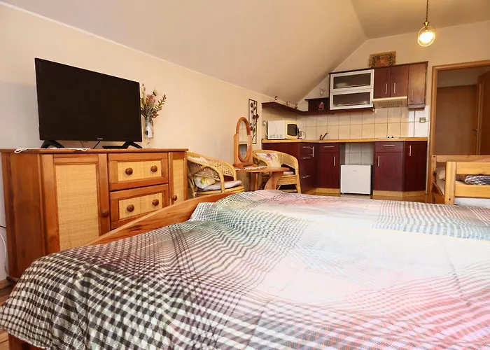 Gasthuis U Kaplicky 3*